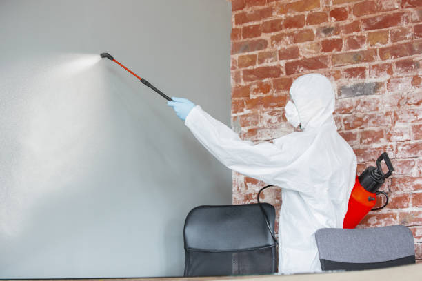 Best Dehumidification Services  in Las Vegas, NV