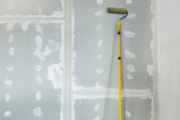 Best Post-Construction Mold Inspection  in Las Vegas, NV