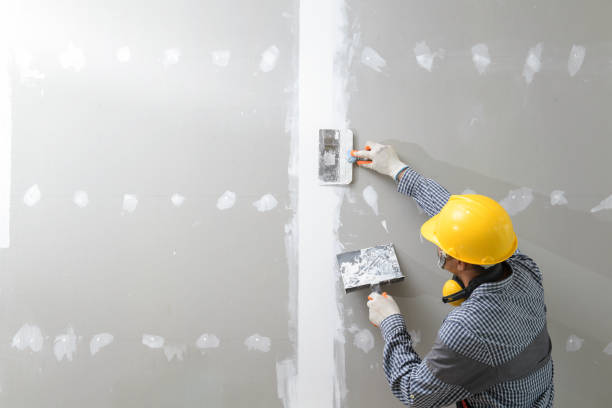 Best Mold Documentation for Insurance Claims  in Las Vegas, NV