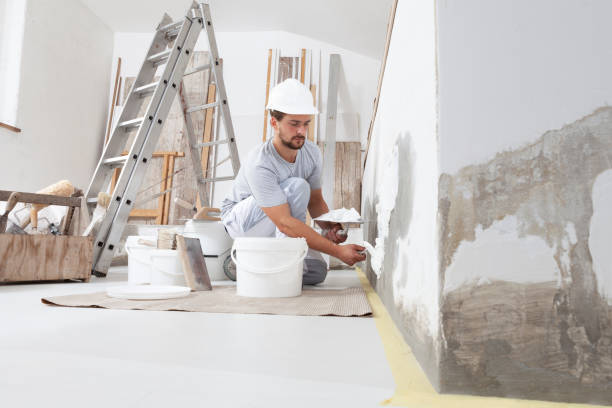 Best Commercial Mold Inspection  in Las Vegas, NV
