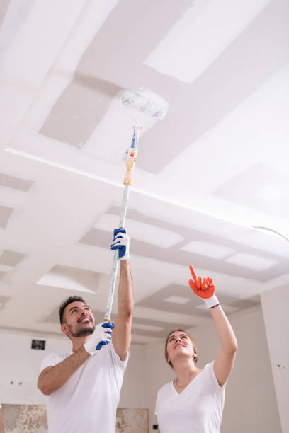 Trusted Las Vegas, NV Mold Removal Experts