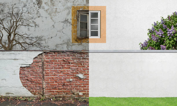 Best Mold Damage Restoration  in Las Vegas, NV