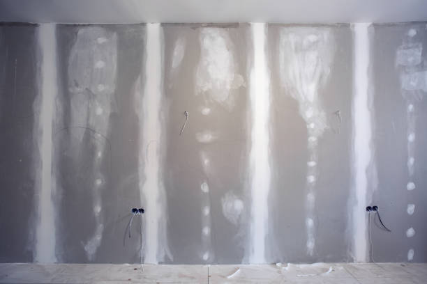 Best Basement Mold Removal  in Las Vegas, NV